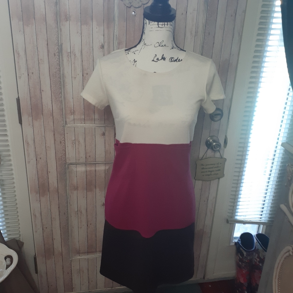 🌟5for25🌟Tri-Polar Dress